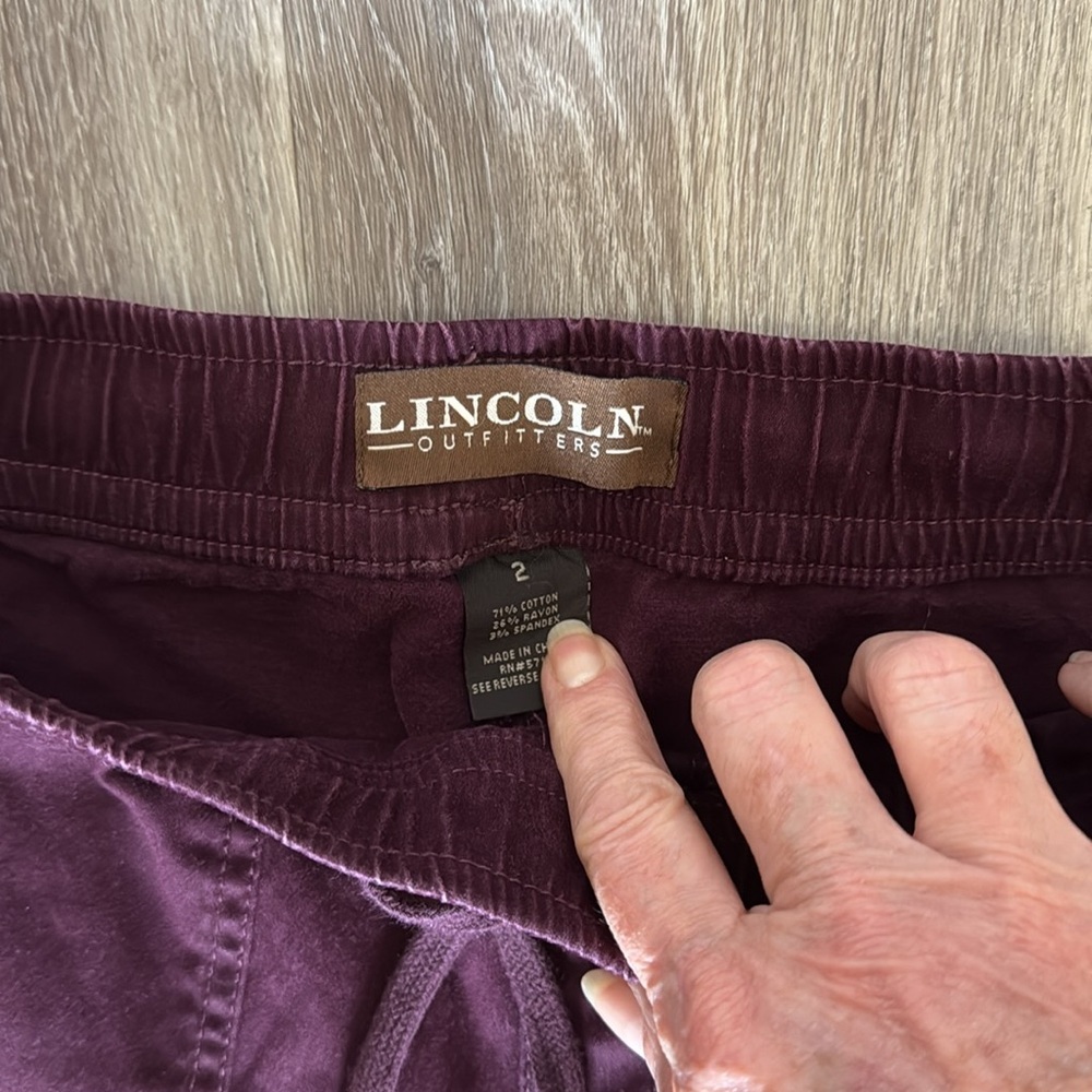 Lincoln Outfitters purple cargo pants - Picture 2 of 5